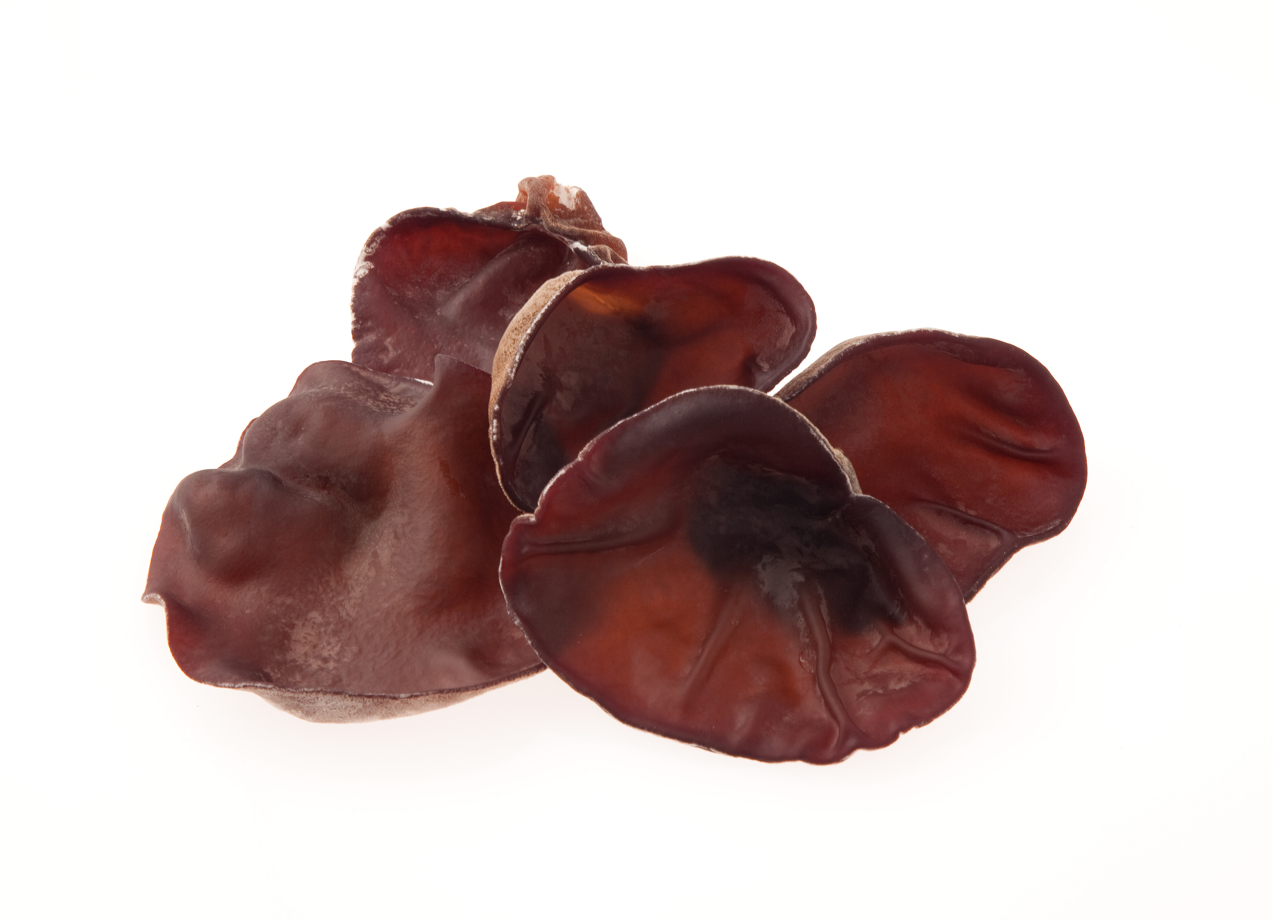 きくらげの栄養と効能とは？種類や特徴・絶品レシピを解説