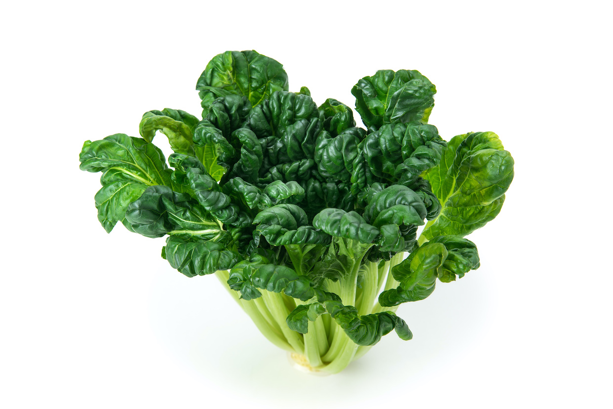 ターサイとは？旬の時期から選び方・美味しいレシピまで徹底解説