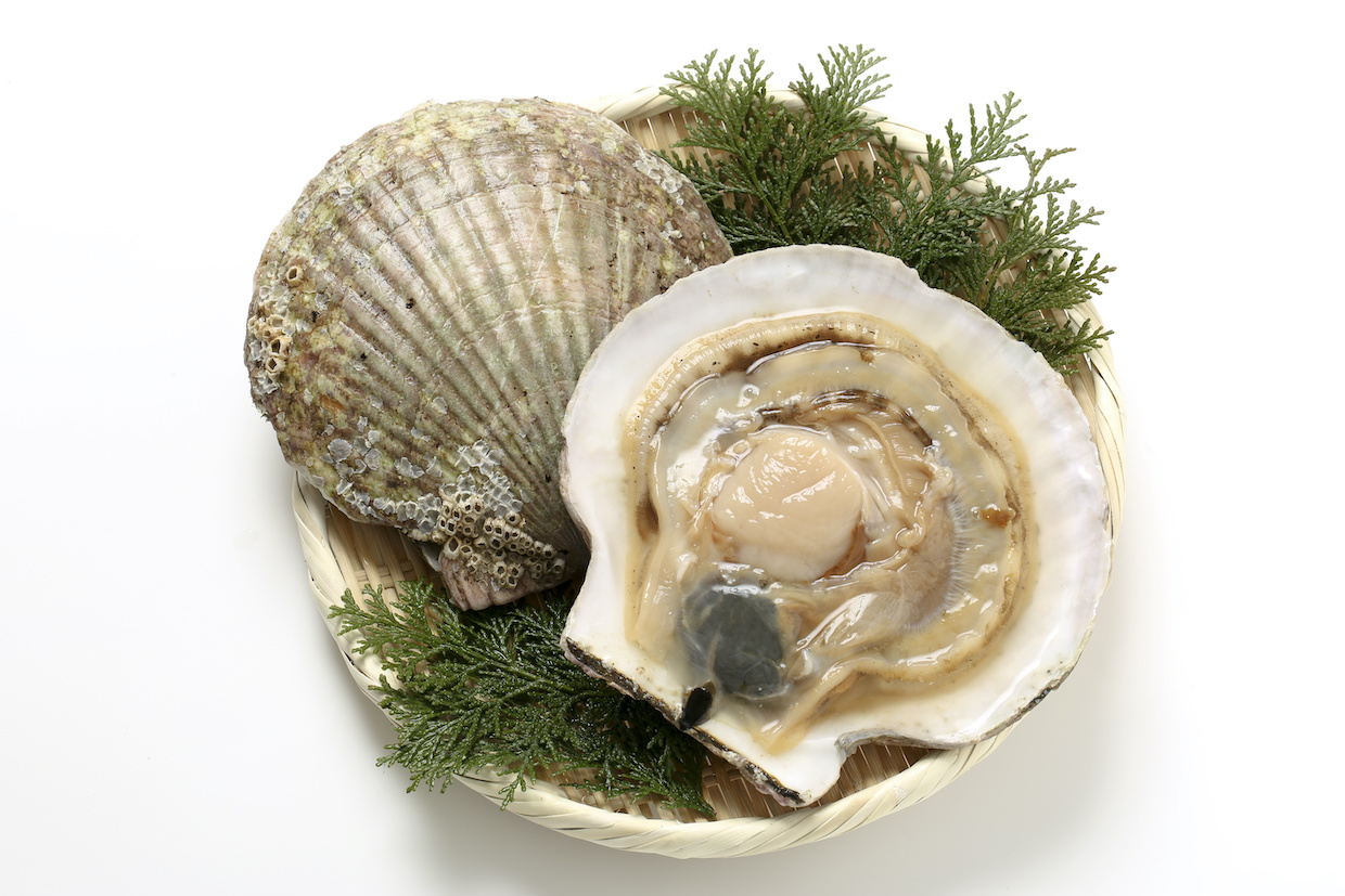 ホタテに含まれる栄養は？おすすめのレシピもご紹介