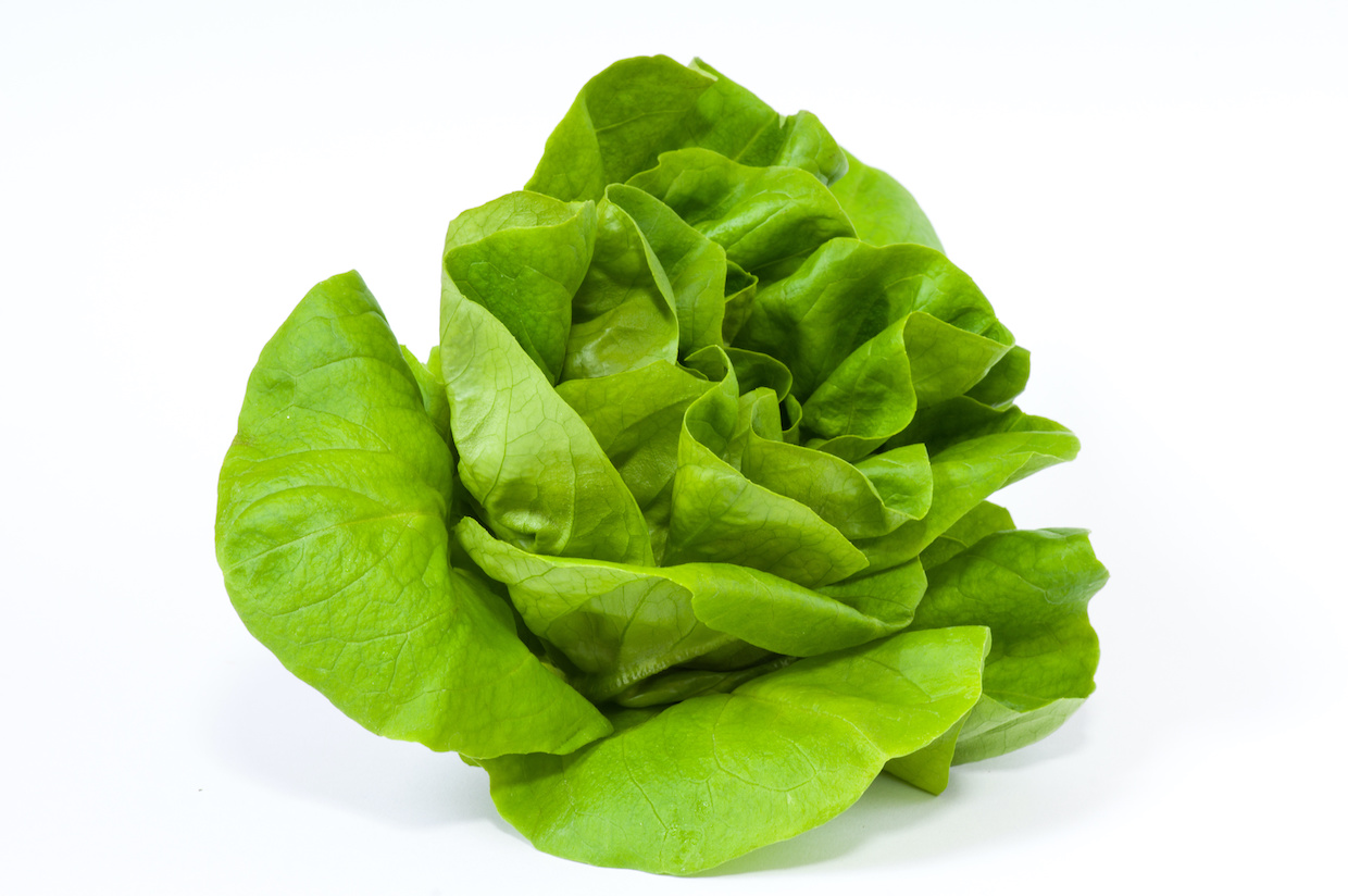 サラダ菜とはどんな野菜？人気レシピ8選もご紹介！