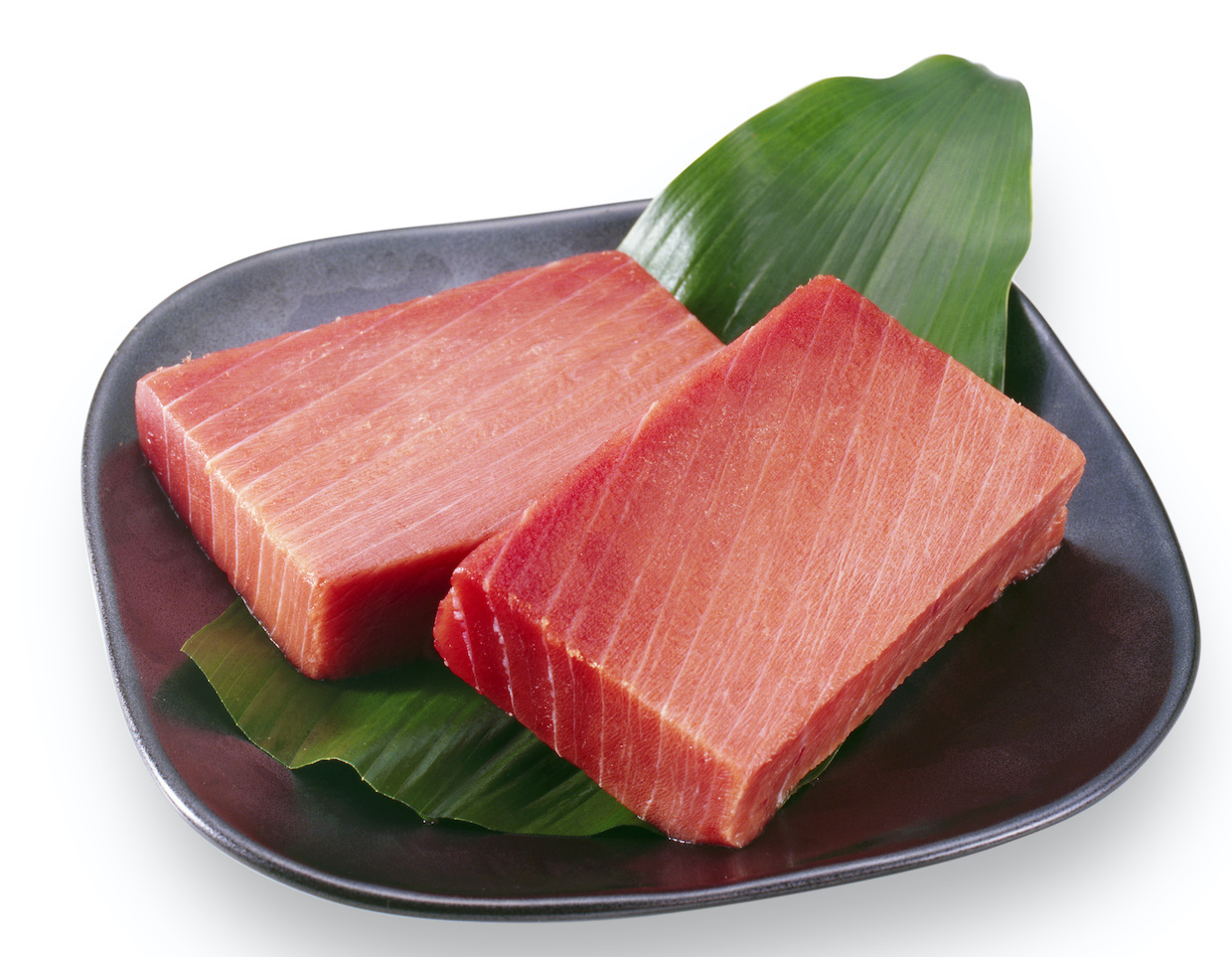 大トロはマグロのどこの部位？特徴や中トロとの違いは？