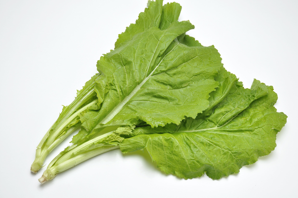 からし菜とは？種類別の特徴と保存方法、活用レシピを徹底解説