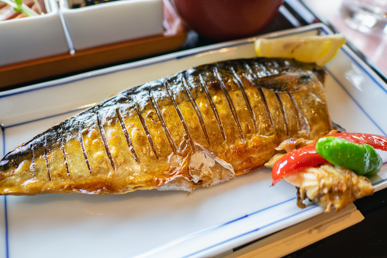 金華サバとは？特徴やおすすめレシピをご紹介
