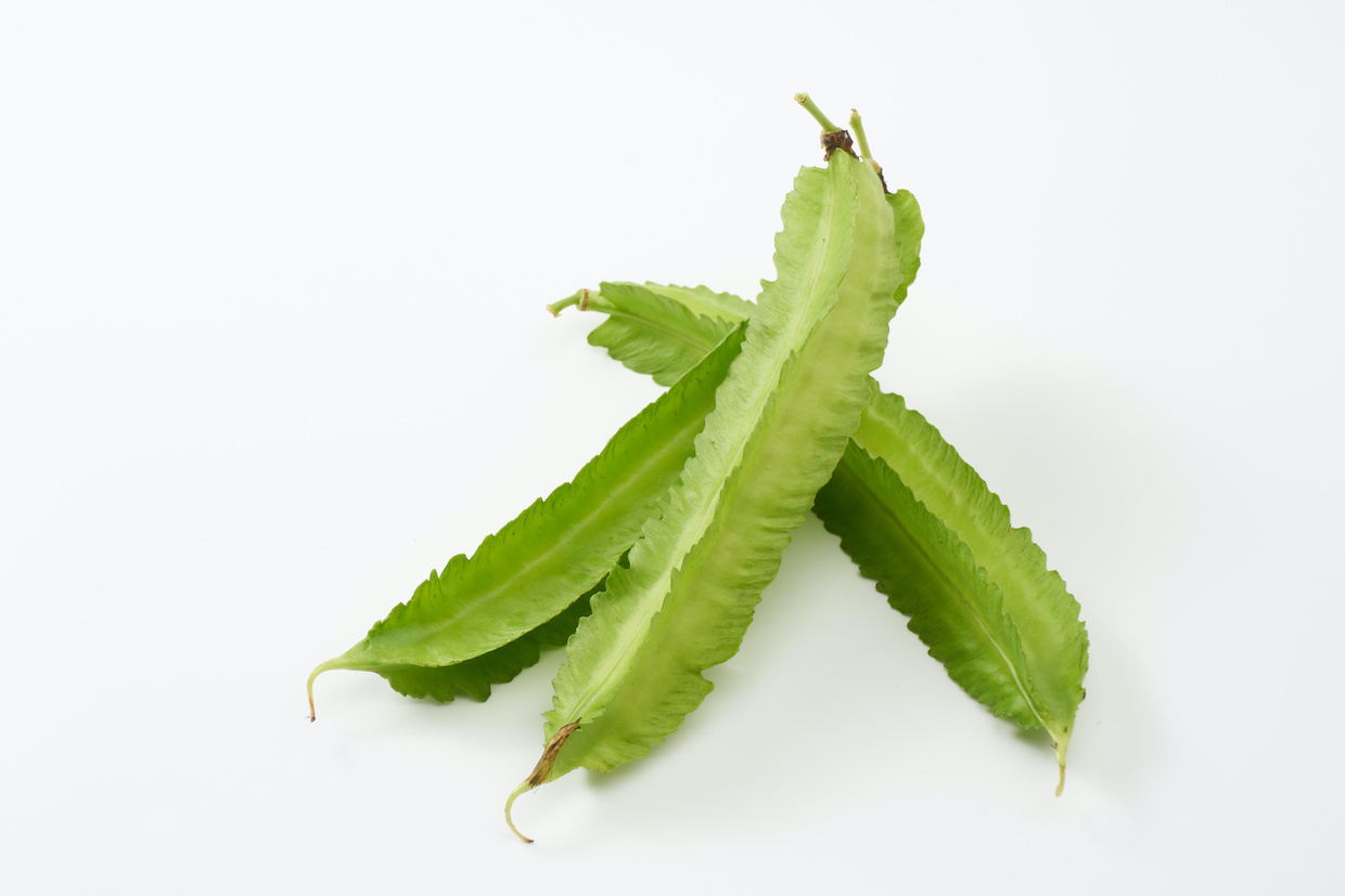 四角豆とは 下ごしらえの方法やレシピをご紹介 Delish Kitchen