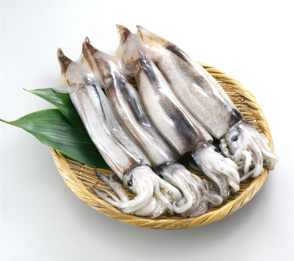 イカのカロリーはどのくらい？糖質やレシピもご紹介