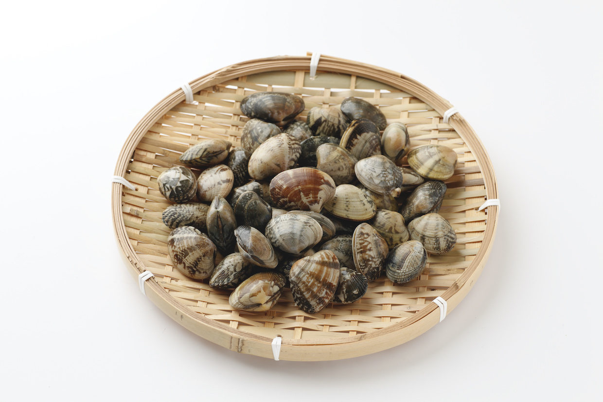 あさりの旬を産地ごとに解説！下処理やレシピもご紹介