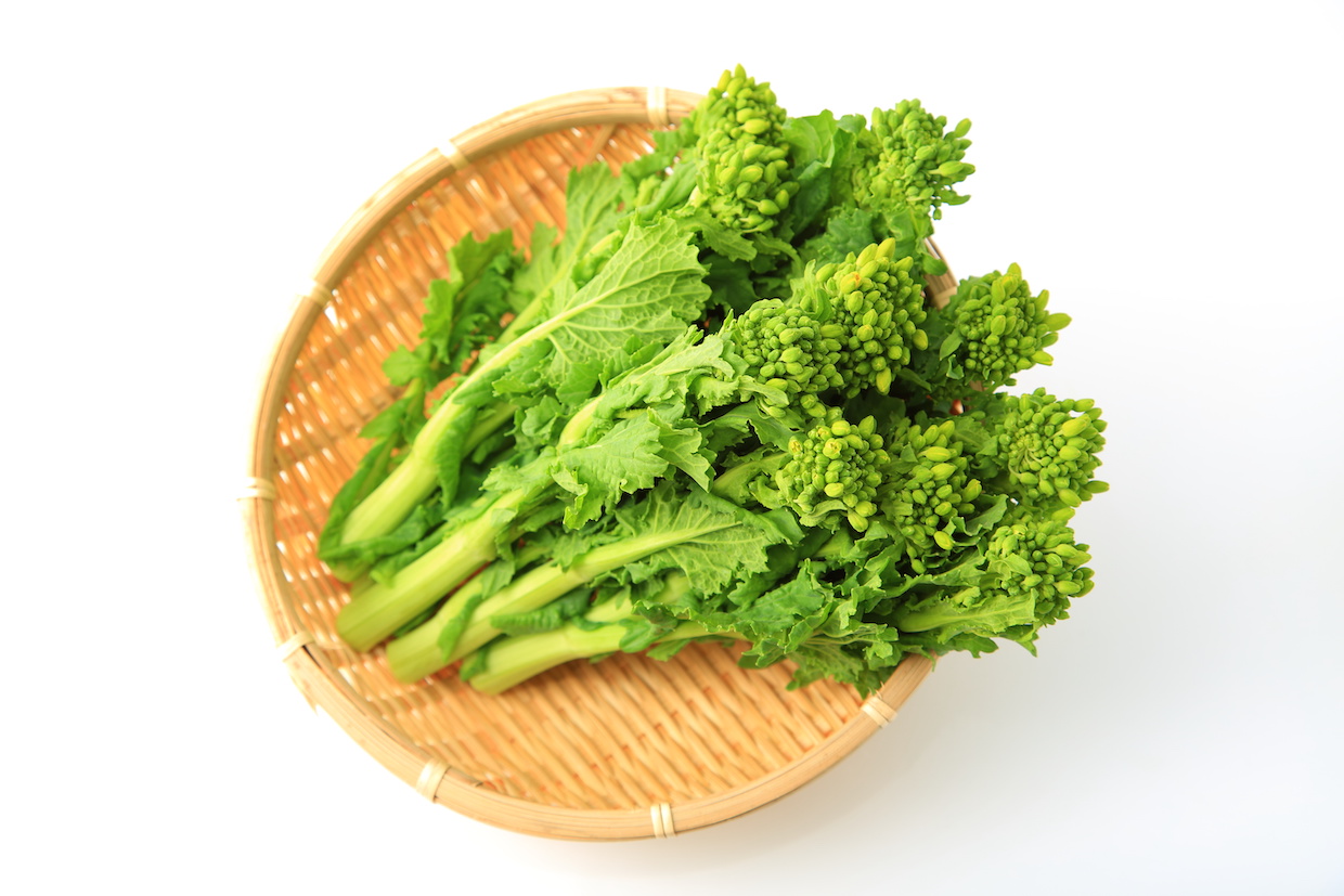 菜の花の季節はいつ？旬の時期やレシピもご紹介