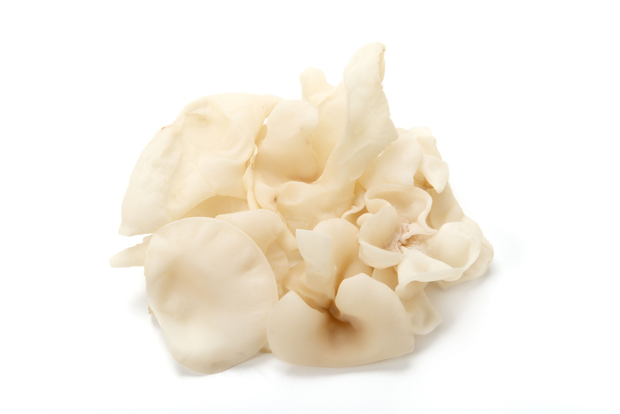 白きくらげとは？特徴や白いきくらげとの違いも解説