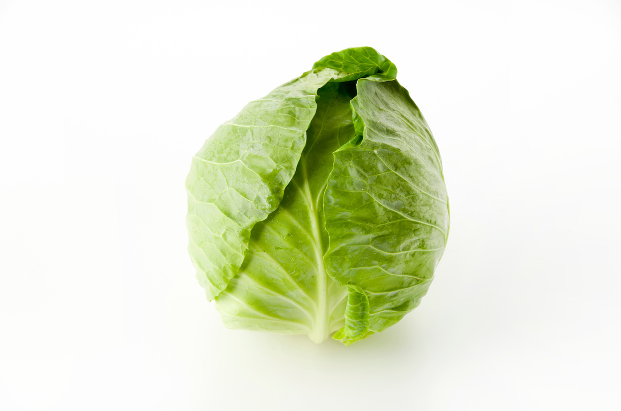 グリーンボールとは？キャベツとの違いや栄養をご紹介