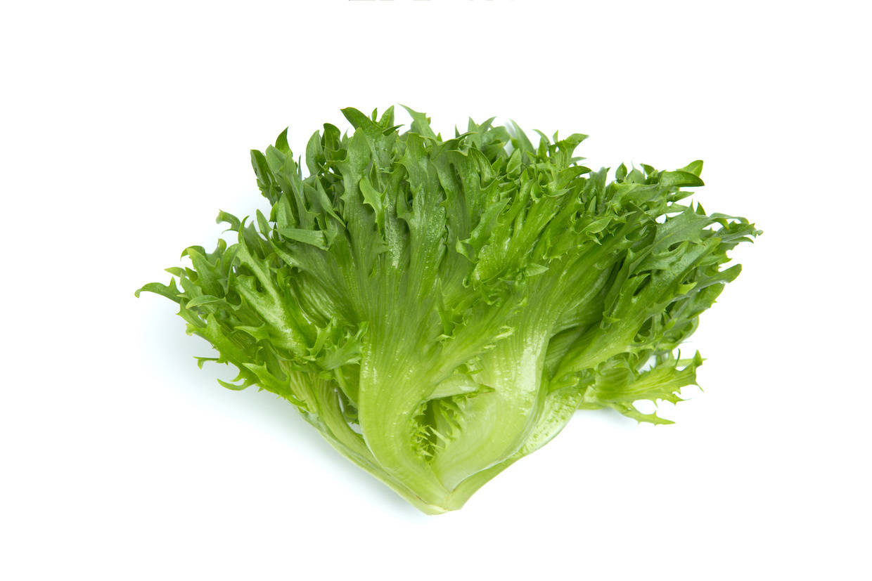 レタスにはどんな種類がある 10品種の特徴を一挙にご紹介 Delish Kitchen