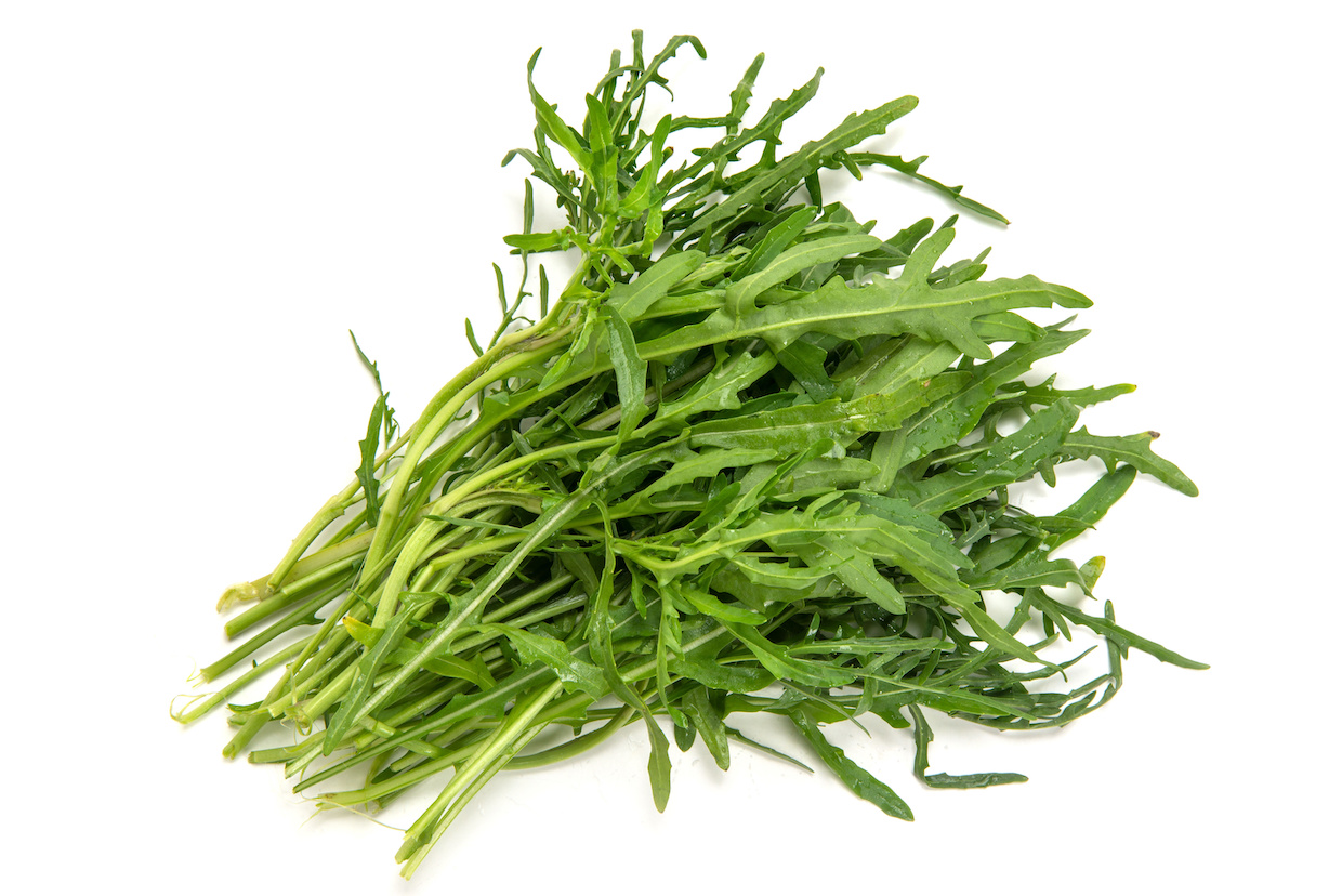 セルバチコ（セルバチカ）とは？ルッコラとの違いや食べ方をご紹介