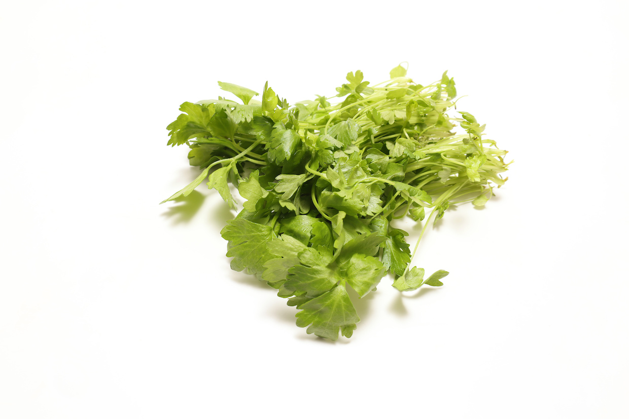 セロリの旬はいつ おすすめレシピもご紹介 Delish Kitchen