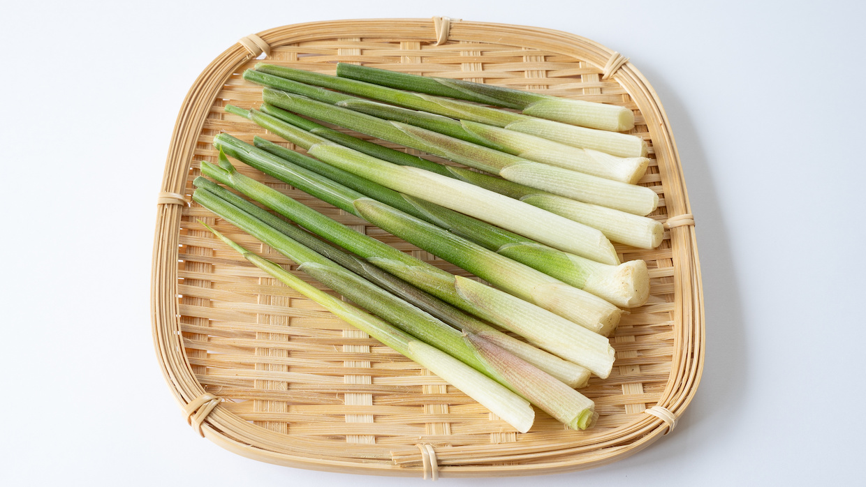 ミョウガタケ 茗荷たけ とは 食べ方もご紹介 Delish Kitchen