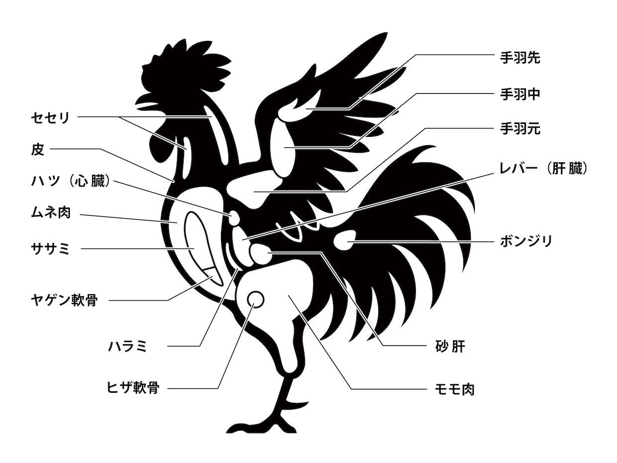 鶏のハラミはどこの部位？味や食感についても解説！