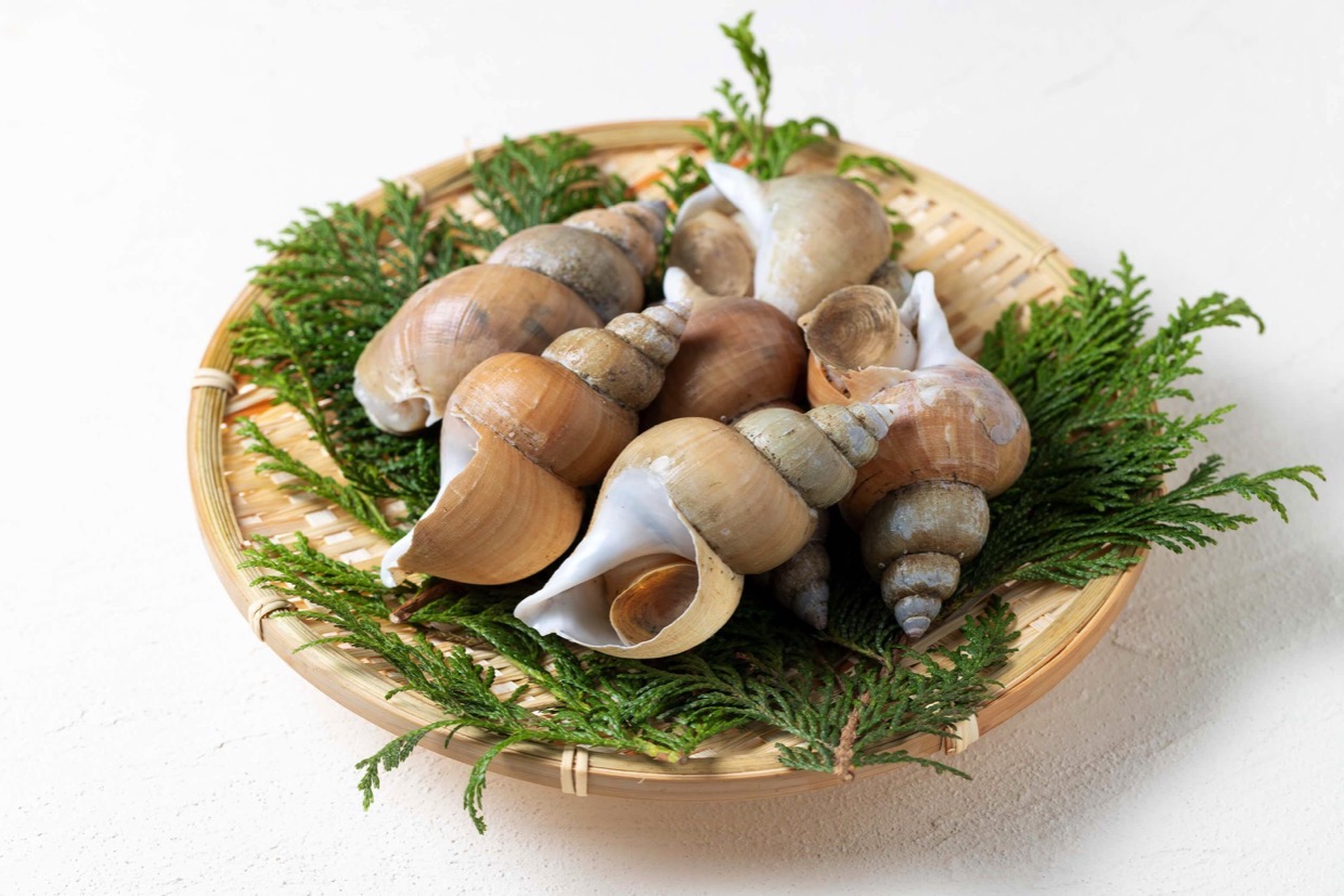 バイ貝を調理する際の注意点や下処理方法をご紹介