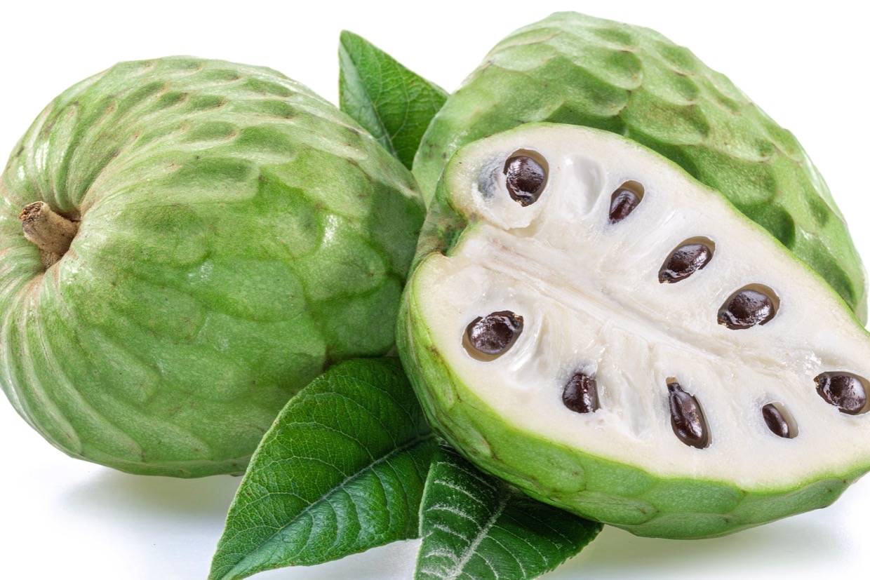 世界3大フルーツの1つ「チェリモヤ」とは？アテモヤとの違いもご紹介