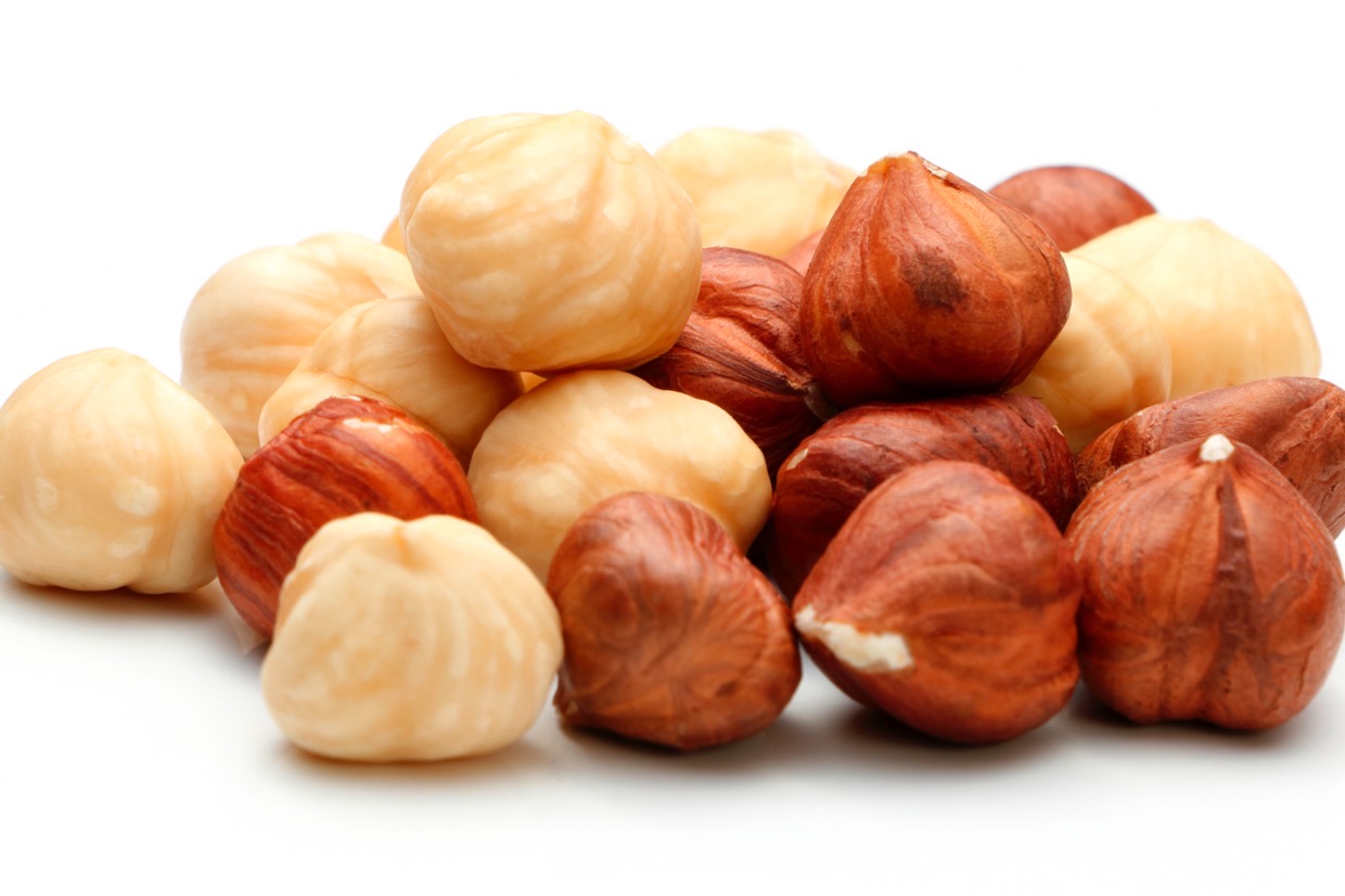 世界3大ナッツ「ヘーゼルナッツ」とは？特徴や栄養にいてご紹介