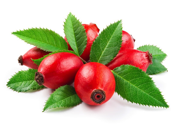 ローズヒップティーとは？栄養や効能・美味しい飲み方を解説