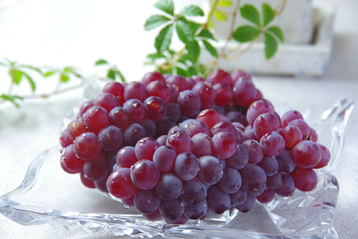 デラウェアとはどんな葡萄？特徴・味わい・食べ方など徹底解説！