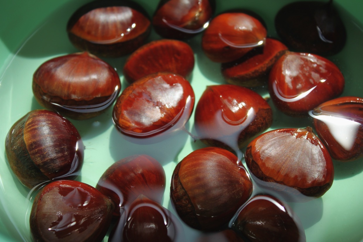 簡単な栗の剥き方をご紹介！冷凍・お湯で剥く裏ワザを解説