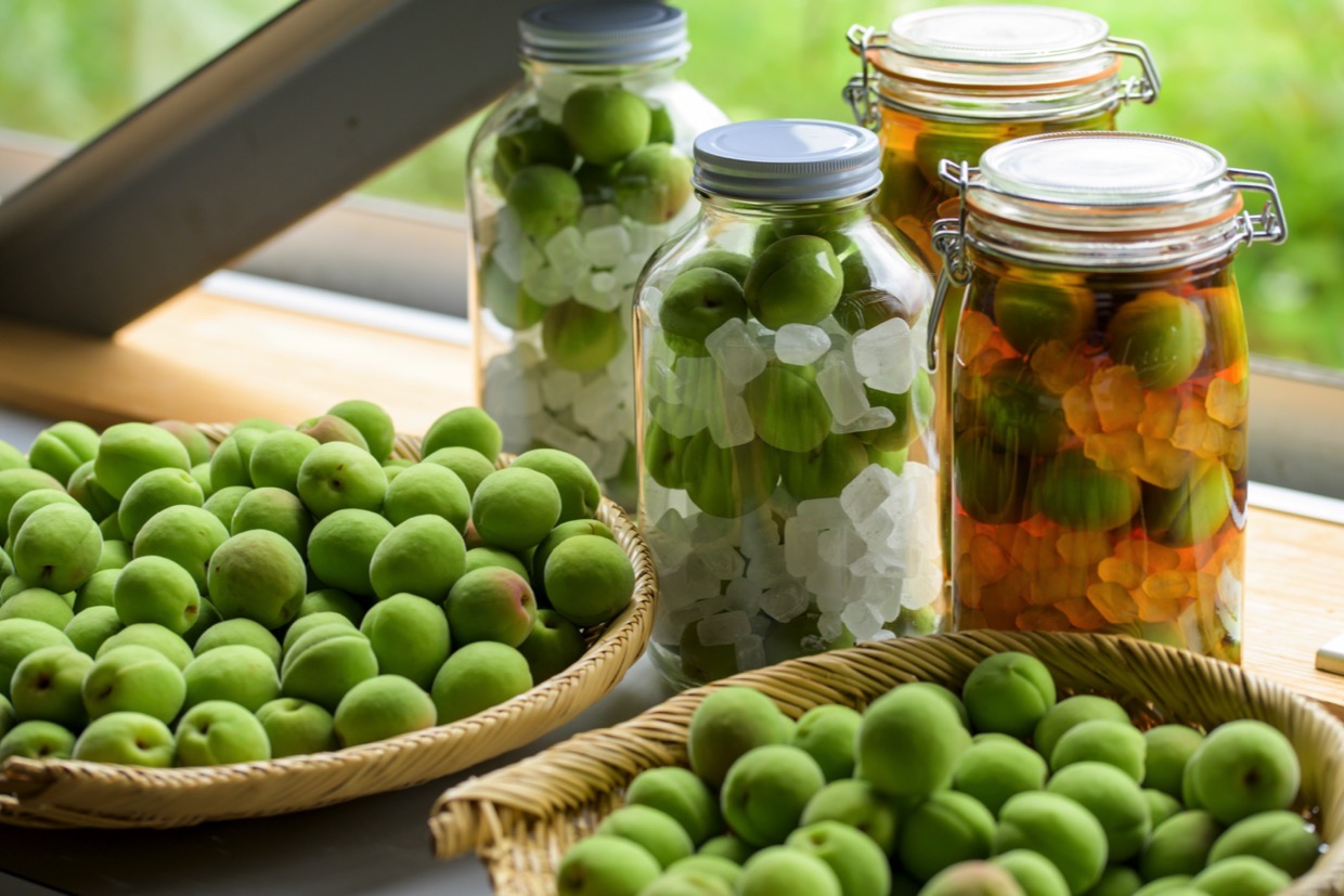 梅酒の梅の再利用方法と活用レシピもご紹介！