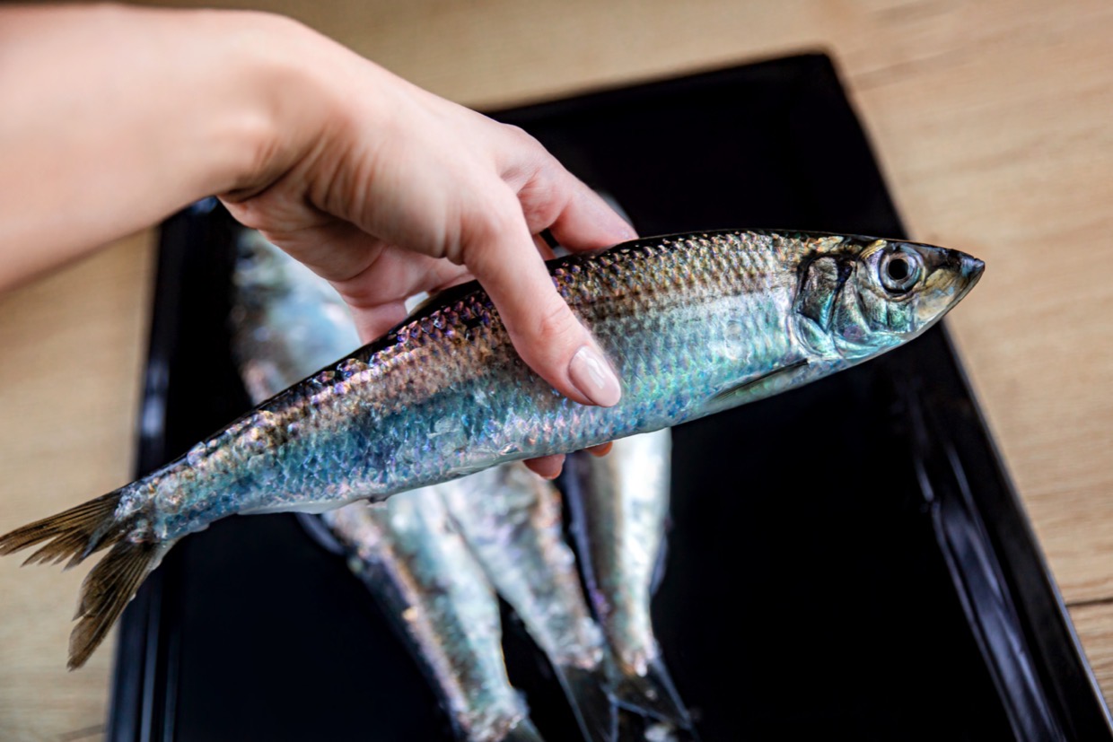 簡単解決！手についた魚の生臭さを消す方法