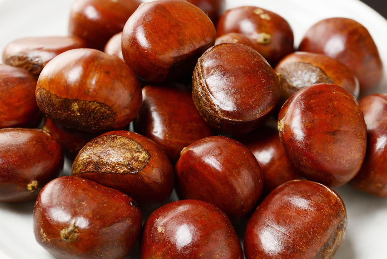 甘栗の栄養とは？栗との栄養素の違いも解説します