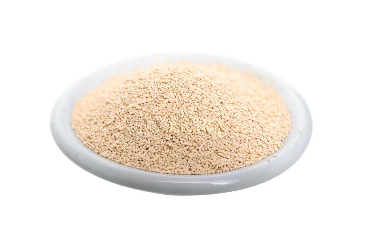 ドライイーストとは？代用品についても解説します！