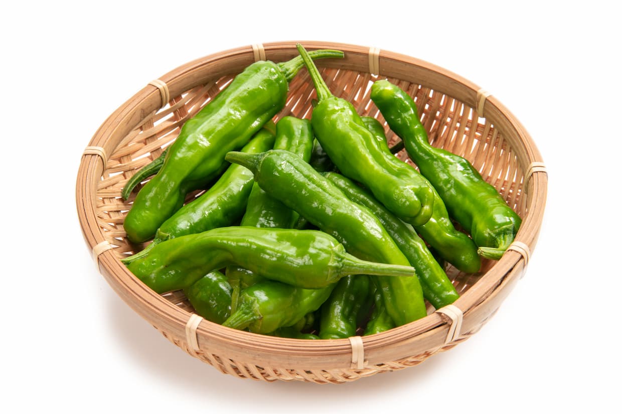ししとうは生で食べられる？選び方や食べ方・栄養素を徹底解説