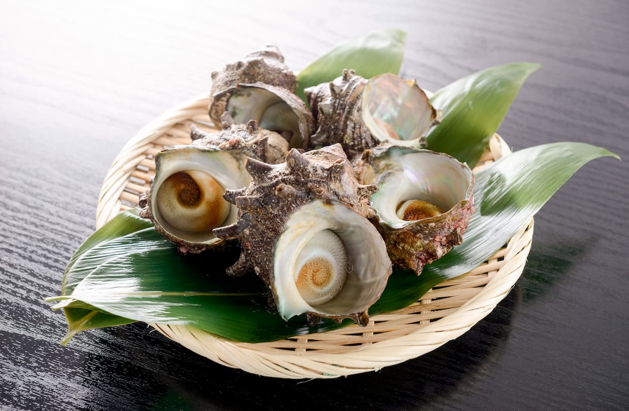 サザエの栄養素とは？その働きやレシピもご紹介します