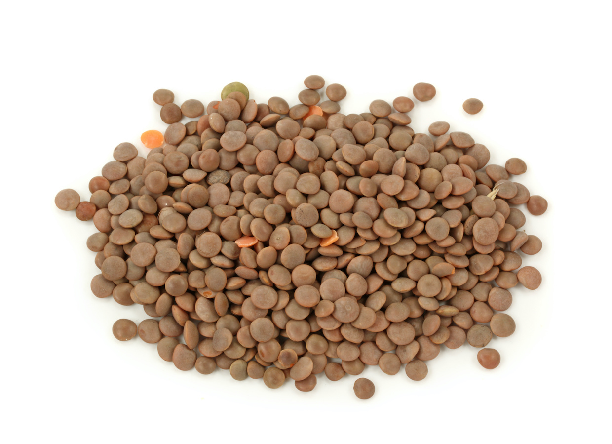 レンズ豆とは？種類や特徴・おすすめのレシピをご紹介