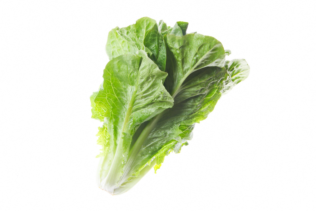 ロメインレタスのレシピ7選！生食から加熱調理まで簡単な作り方をご紹介