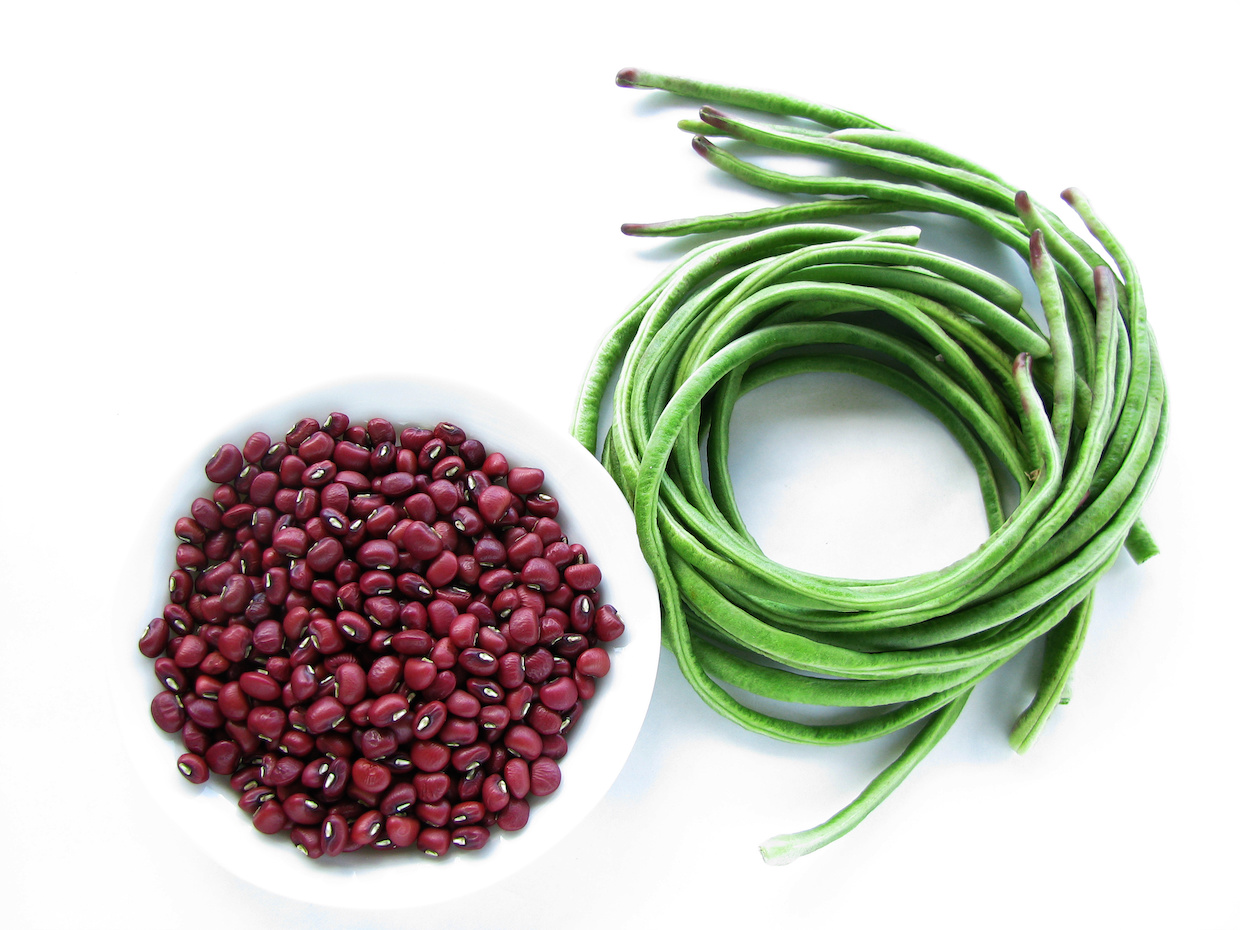 ささげ（大角豆）と小豆の違いを解説！赤飯レシピも