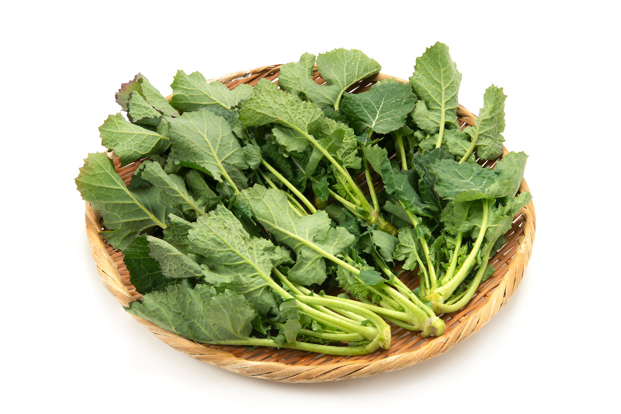 のらぼう菜ってどんな野菜？おすすめレシピもご紹介！