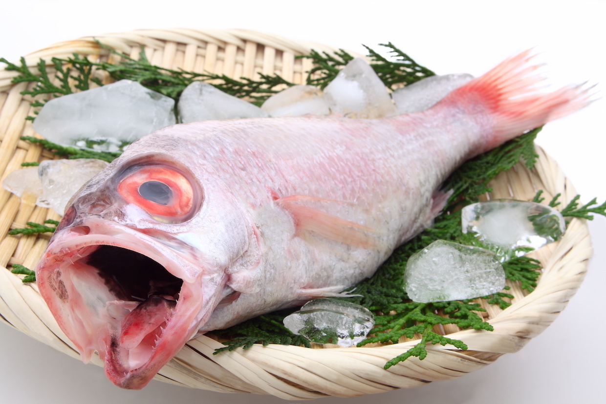 贅沢レシピ のどぐろ煮付けのレシピ動画 作り方 Delish Kitchen