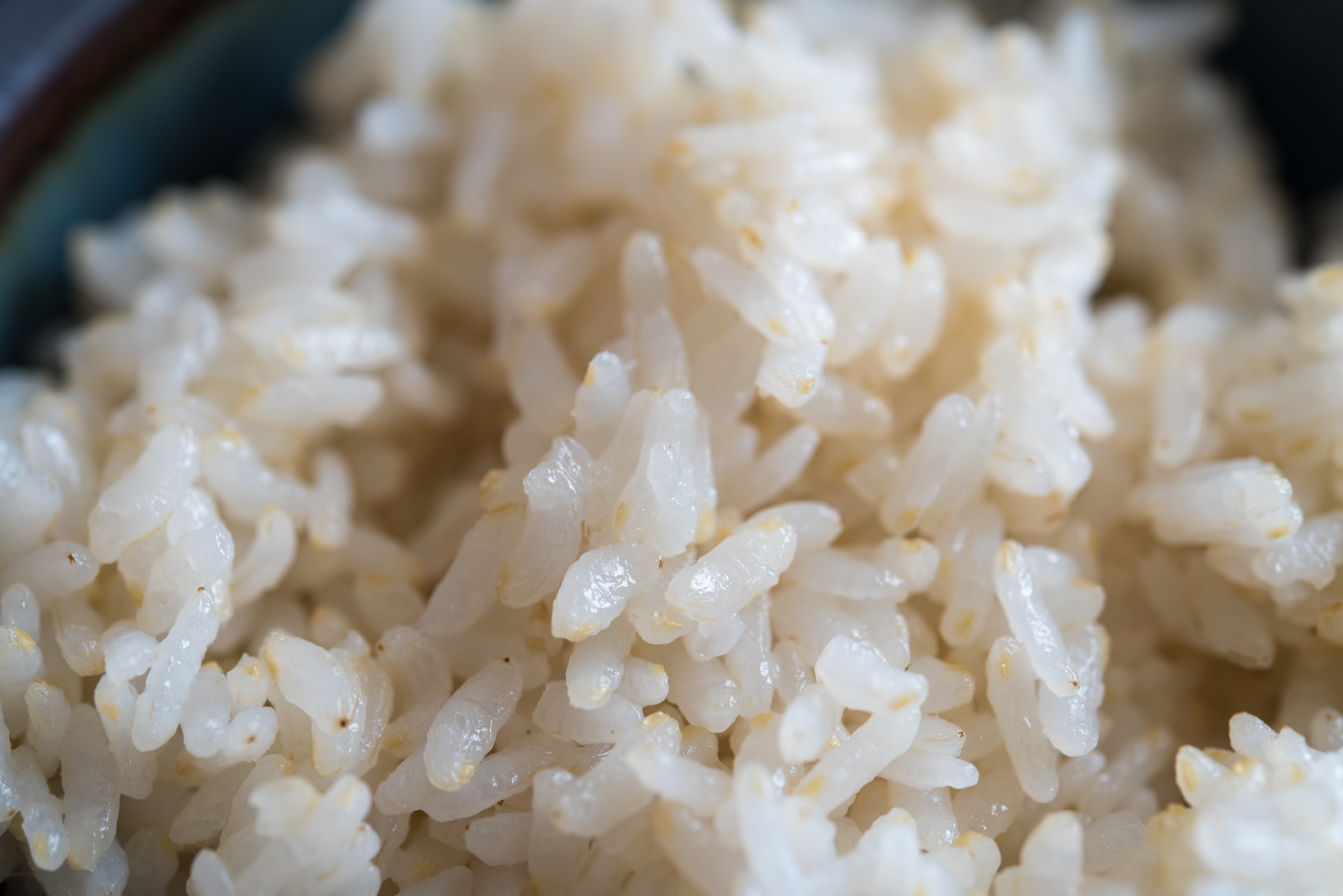 胚芽米とは？玄米との違いや栄養・美味しい炊き方をご紹介