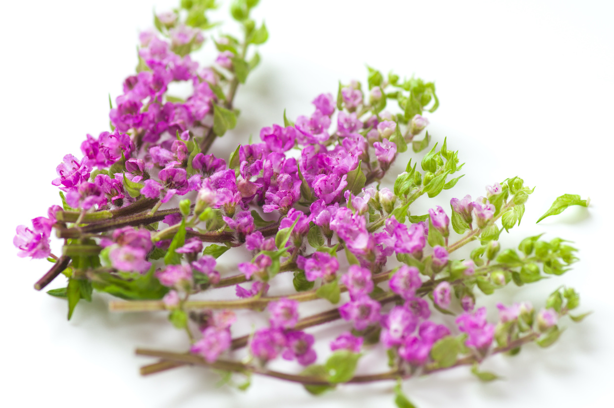 刺身のつまの役割は レシピや盛り付け方のポイントもご紹介 Delish Kitchen