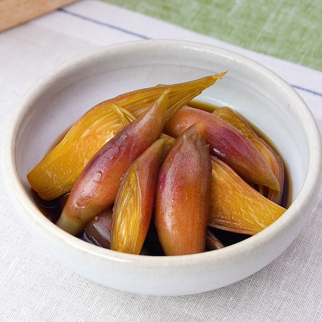 【みょうがの大量消費レシピ】薬味好き必見!激ウマ人気の22選