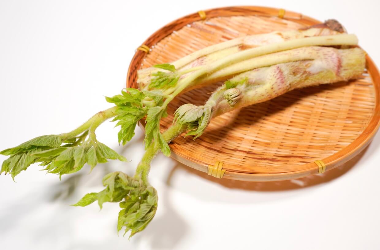 【うどの下処理＆レシピ】あく抜きも簡単！春の香りを味わう7選