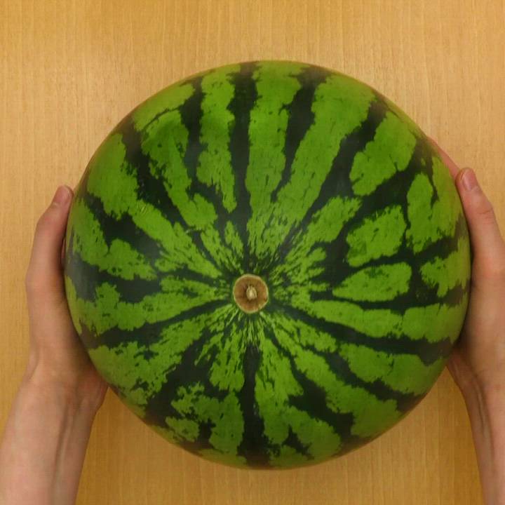 料理の基本！ スイカの保存方法のレシピ動画・作り方 | デリッシュキッチン