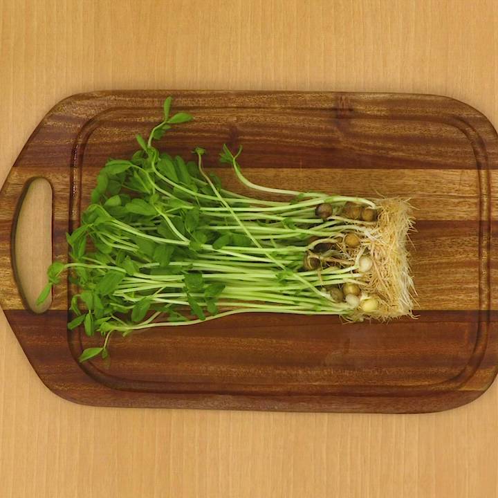 シャキシャキ食感がおいしい！ ささみと豆苗のごまみそサラダのレシピ